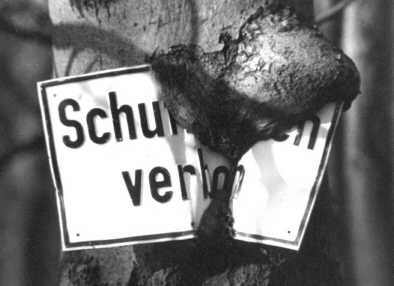 baum frisst schild - uwe knietsch